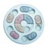 Cloverpet Luxury Bubble Sporty Pet Carrier For Cats